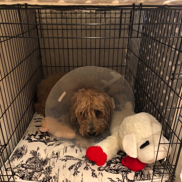 Meet your Posher, Nan - Picture 3 of 4